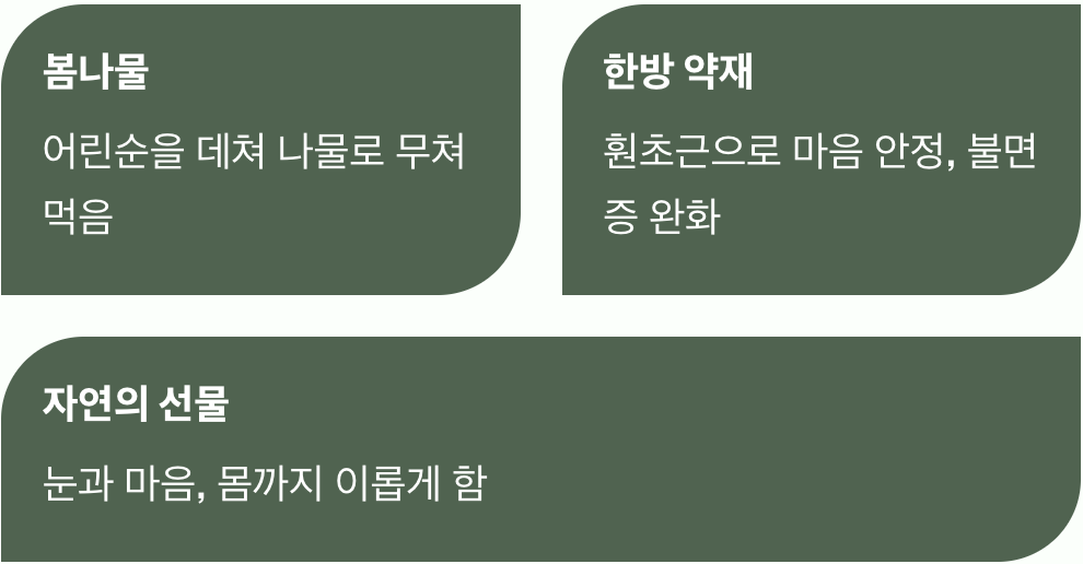 단순히 꽃이 아닌, 고마운 식물