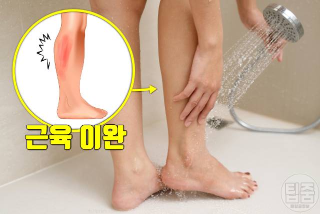 아침샤워 저녁샤워 효능 피부과전문의 매일샤워 일주일 샤워횟수 근육통 다리에 쥐