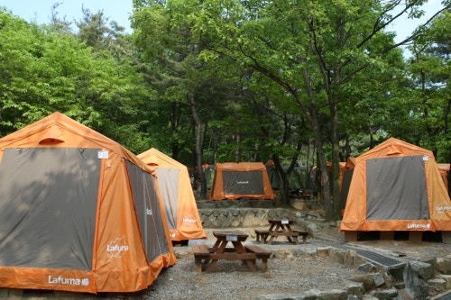 서울대공원 캠핑장