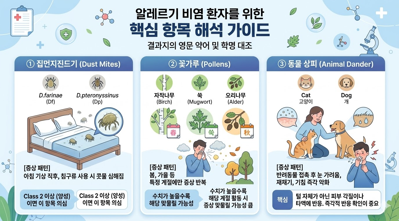 알레르기 비염 환자를 위한 집먼지진드기 꽃가루 동물 상피 항목 해석 가이드