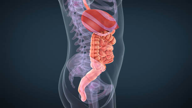 항문거근증후군 원인, 증상, 치료, 예방법을 참고하시기 바랍니다.