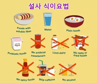 설사에 좋은 음식 총정리 소화기 건강 식단_11