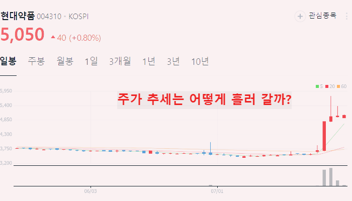낙태 관련주 대장주 테마주 수혜주 TOP5