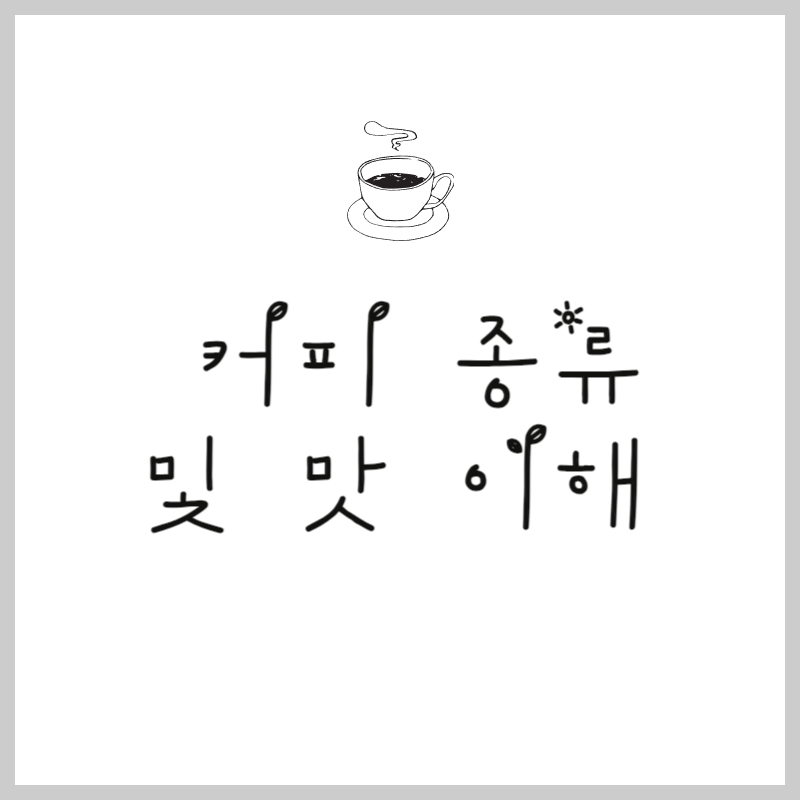 커피 종류 및 맛 이해 알아보자