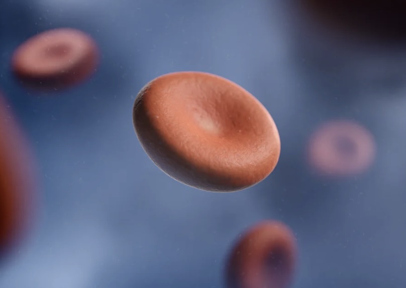 혈소판 이식을 통한 특발성혈소판감소증 치료 방법 개발