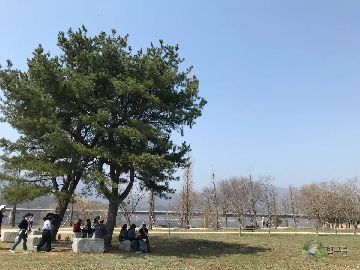 두물머리-역사공원-힐링포인트-나무-그늘아래-사람들-쉬고있다