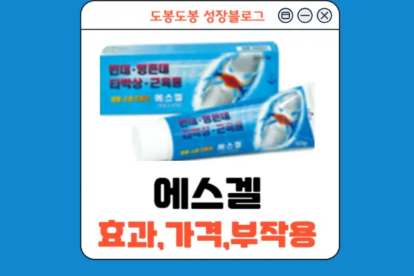 에스겔 안내 이미지