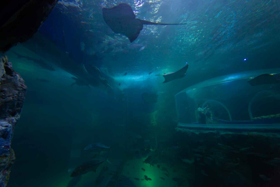 여수 가볼만한곳 베스트10