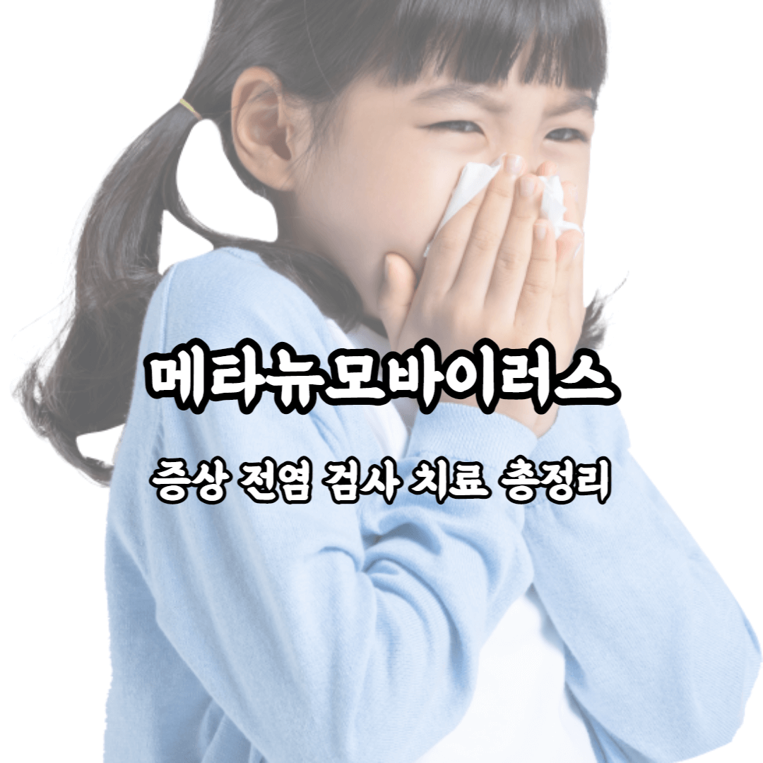 메타뉴모바이러스 증상 전염 검사 치료 총정리