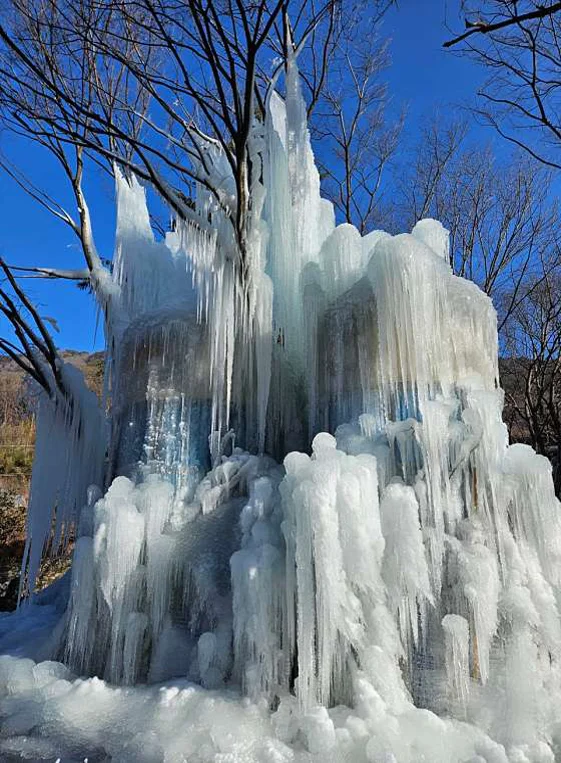 참샘허브나라