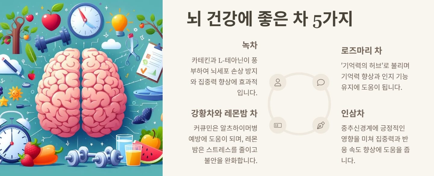 뇌건강에 좋은 음식