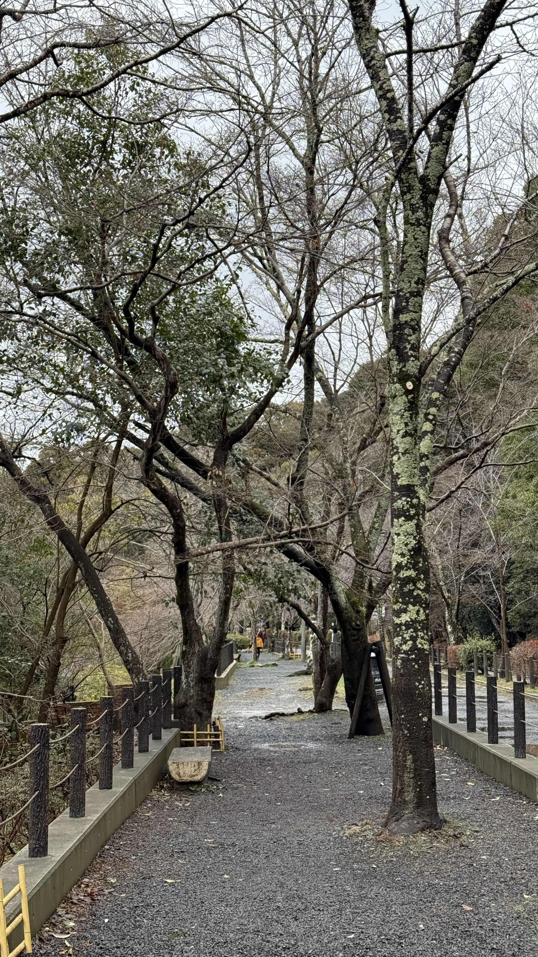 교토-꼭-가봐야-할-곳-교토-은각사-긴카쿠지- 철학의-길-조용한-산책-코스-추천