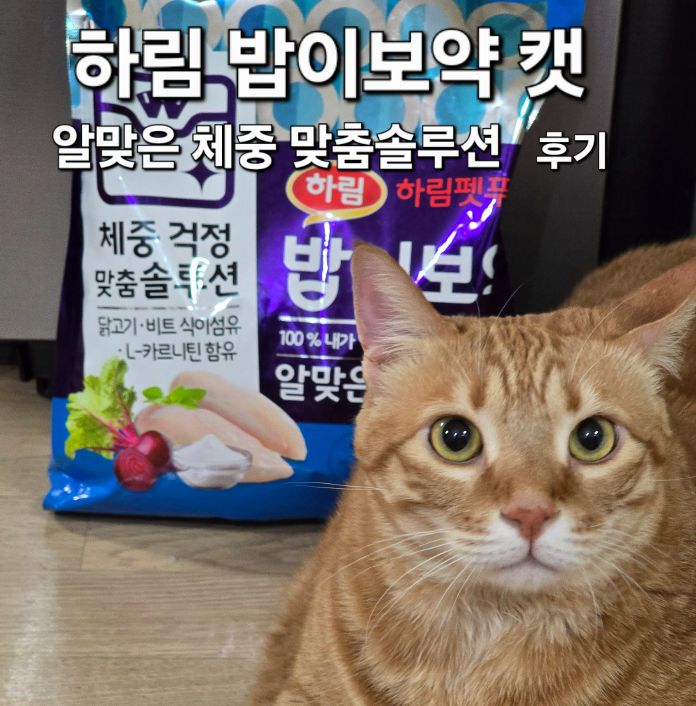 밥이보약 알맞은 체중