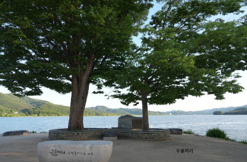 양평 두물머리 – 강변 산책과 자연 감상