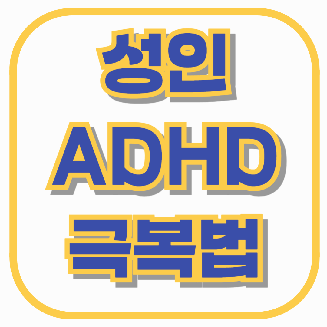 성인 ADHD 극복법&ndash; 약물치료부터 루틴 습관까지, 일상에서 실천 가능한 관리 전략