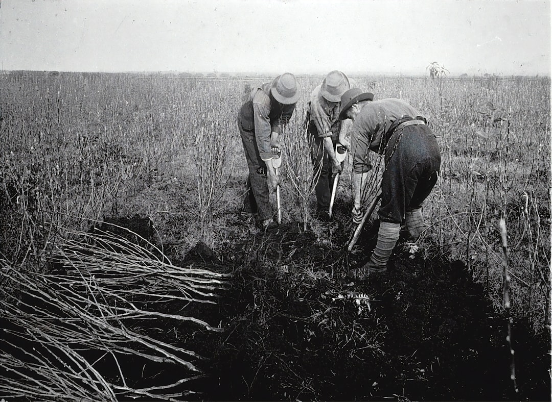 Harvest.