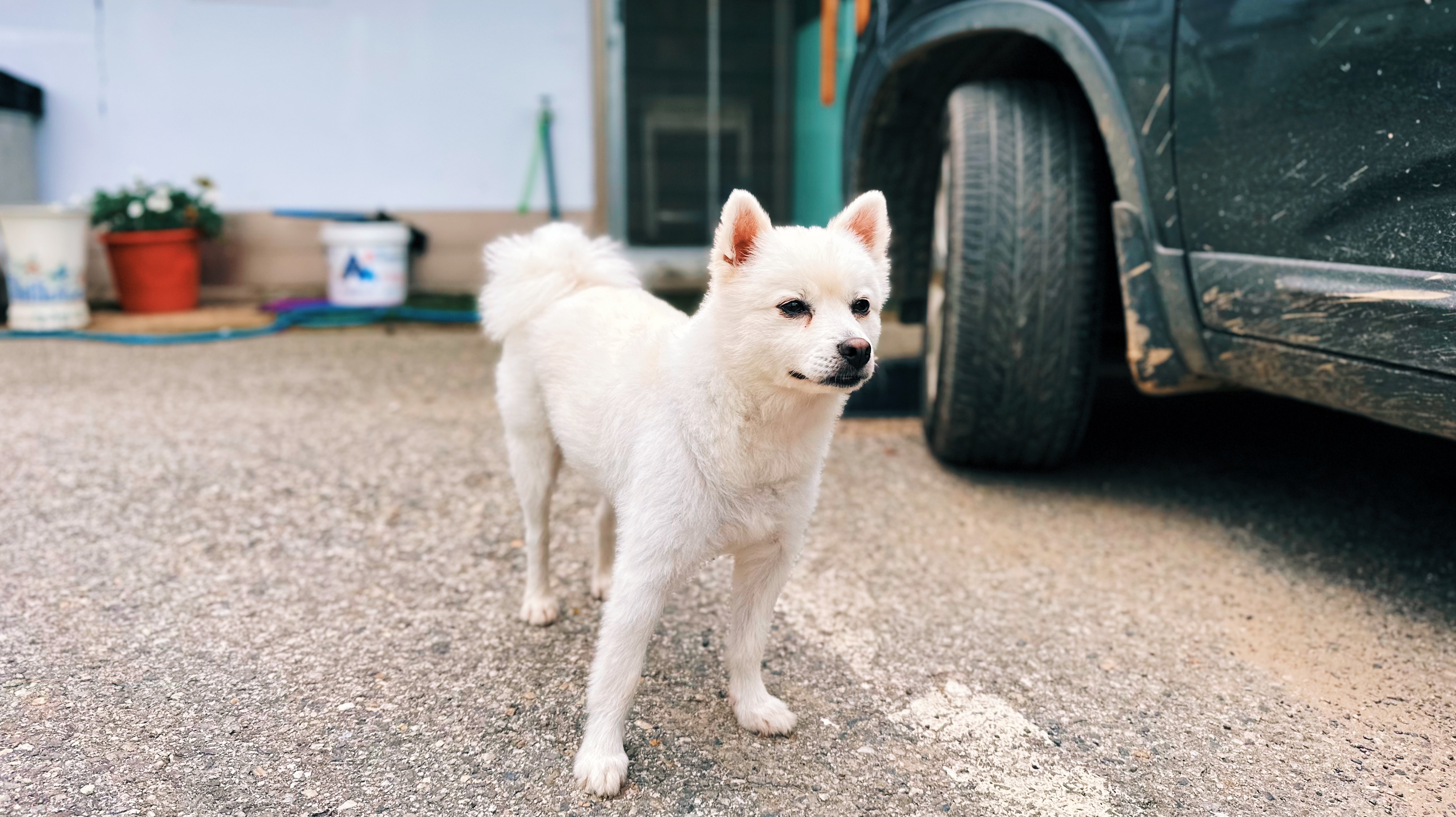 파주 맛집 - 촌닭 마을