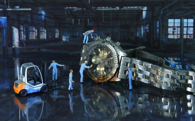 자격증 운전 기능사 취득 시험 일정