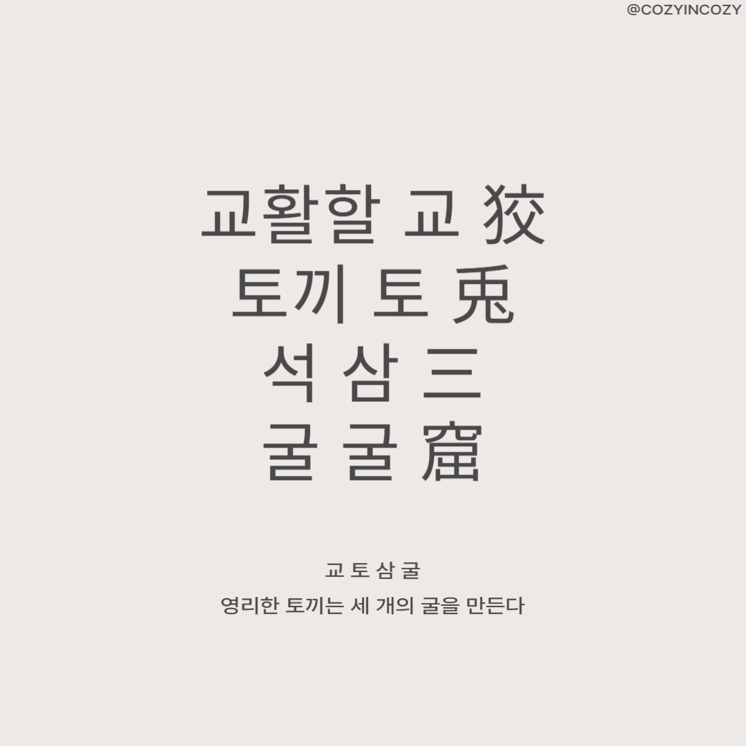 교토삼굴