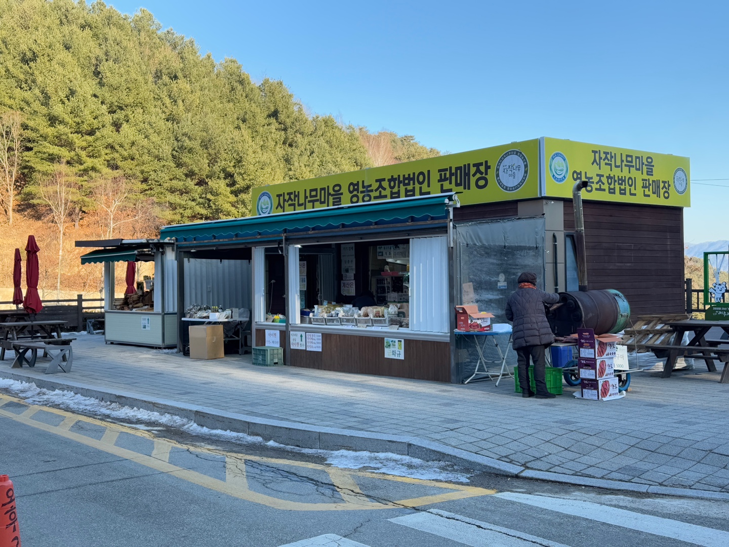 인제 자작나무숲