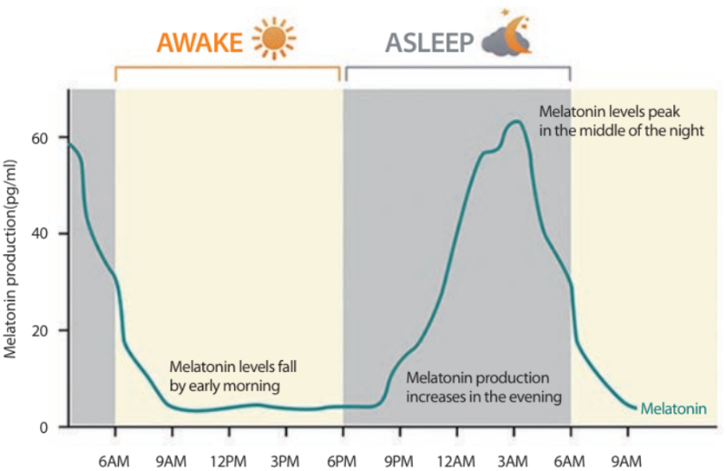 식물성 멜라토닌,멜라바인,herbatonin,prosomnial,뉴트리코어,여에스더,합성멜라토닌