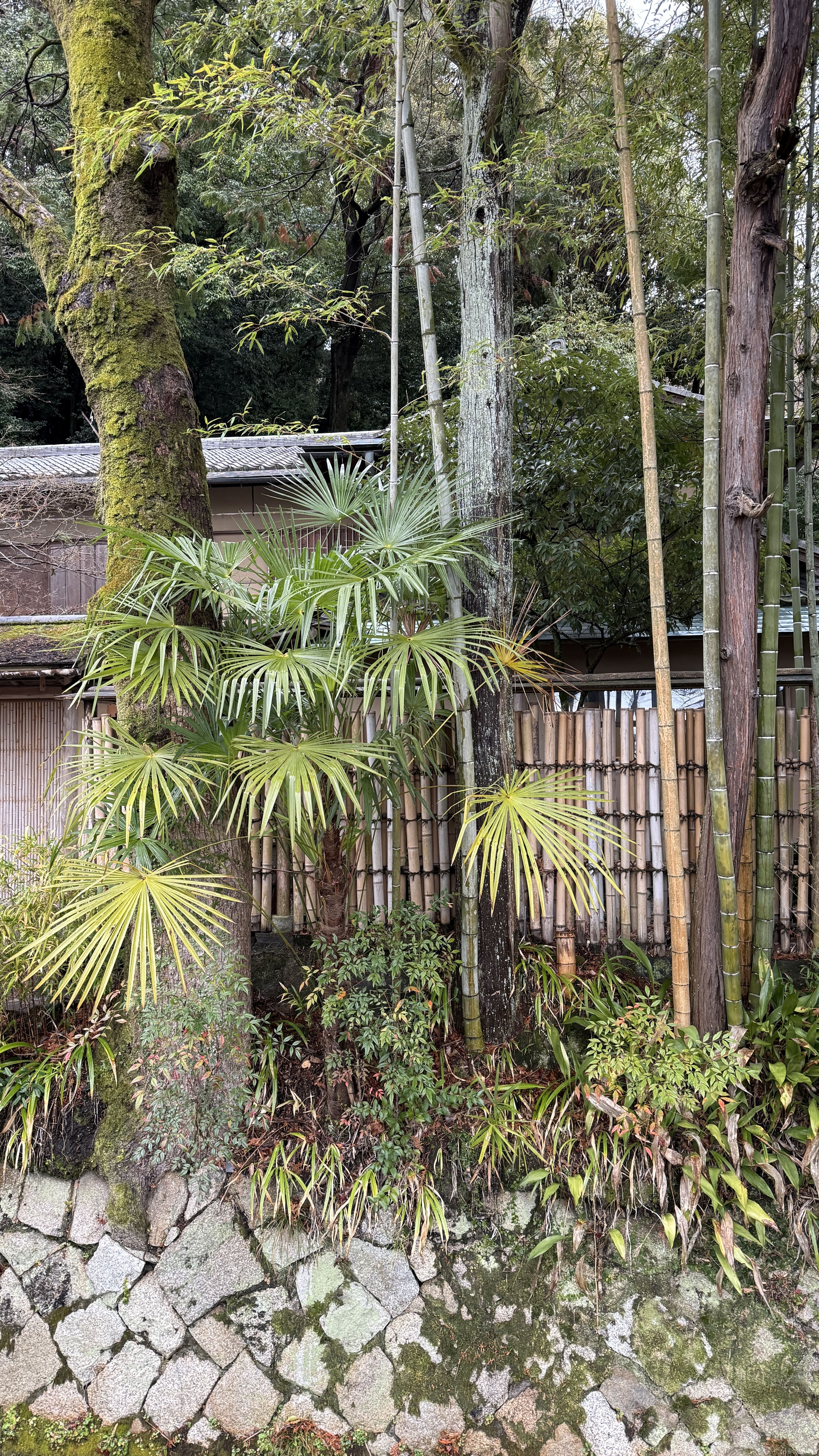 교토-꼭-가봐야-할-곳-교토-은각사-긴카쿠지- 철학의-길-조용한-산책-코스-추천