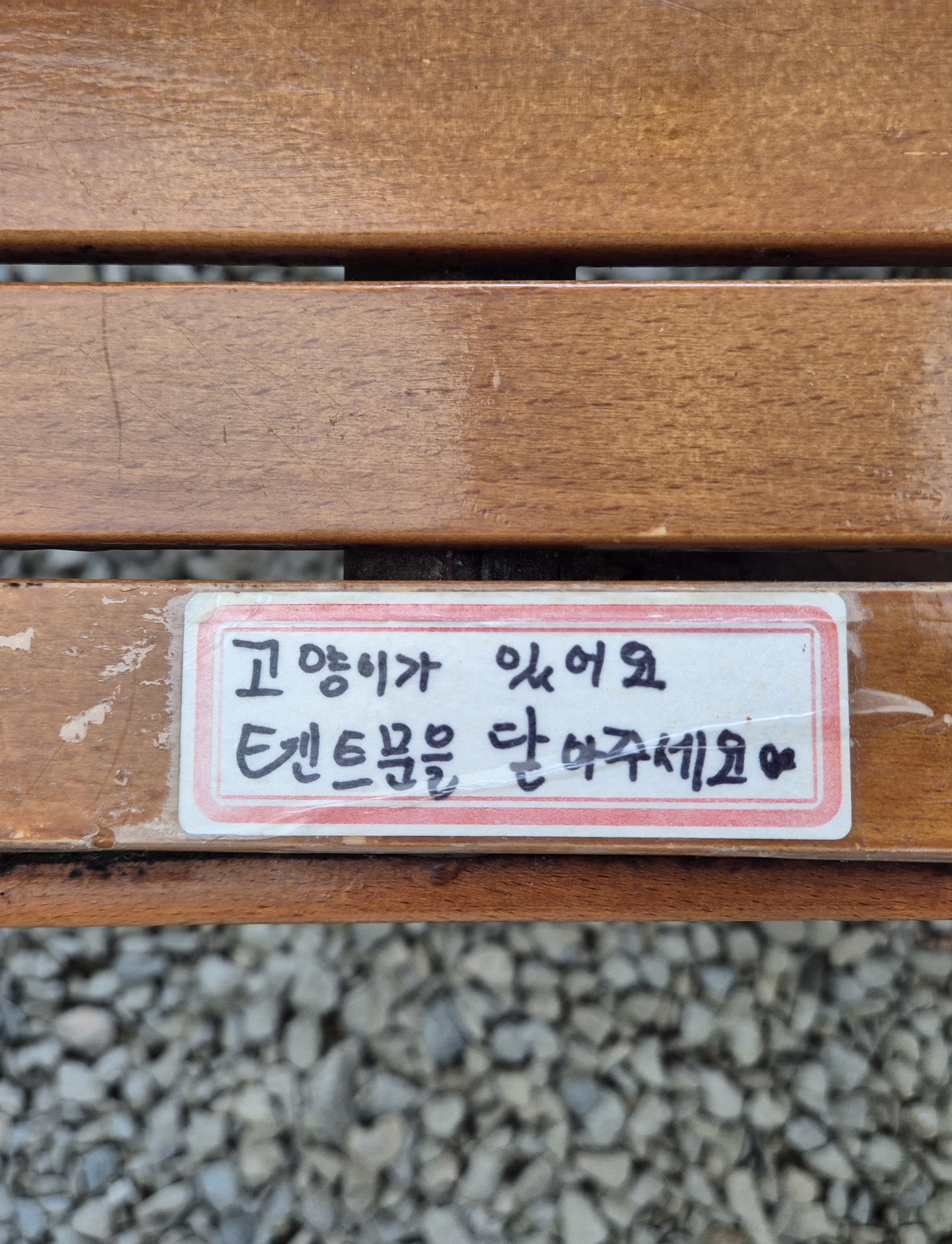 B시트 식사텐트 고양이 안내문