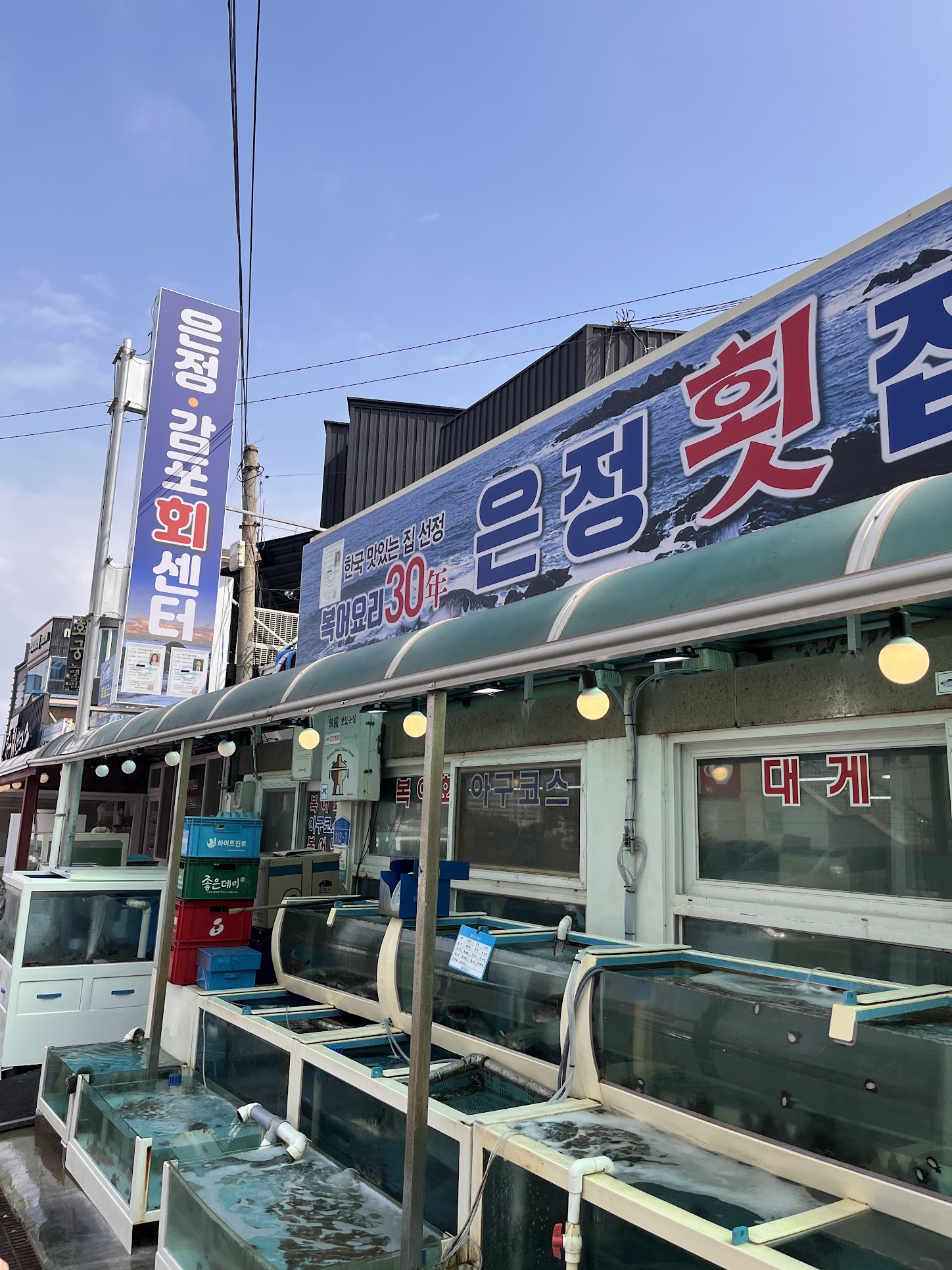 횟집탐방
