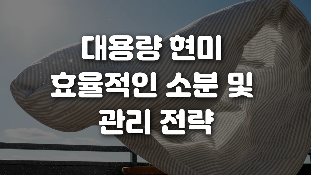 대용량 현미 효율적인 소분 및 관리 전략