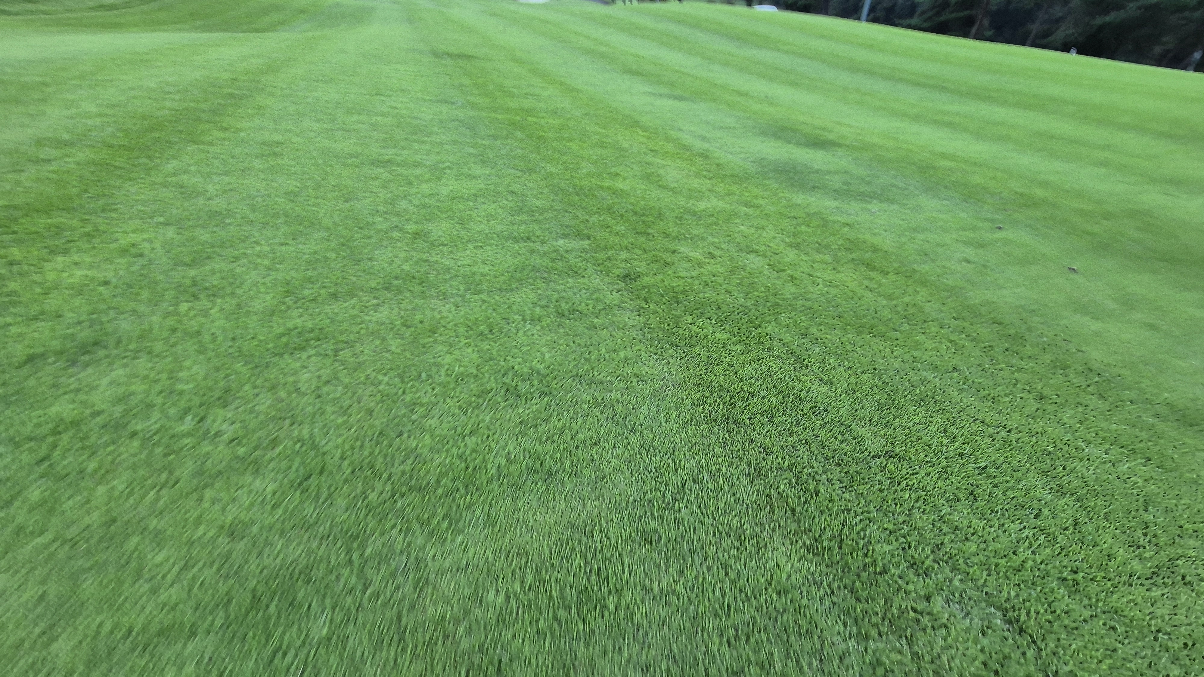 동원썬밸리cc 라운드 후기