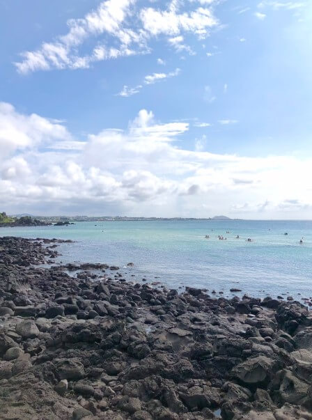 제주도 렌터카 최저가