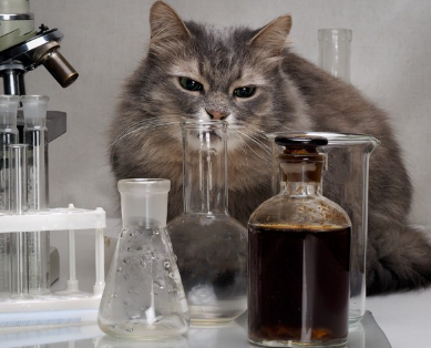 과학 장비와 고양이.