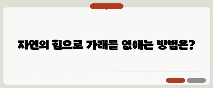 가래 없애는 방법 약 없이도 가능한 민간요법