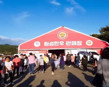 횡성 한우축제_15