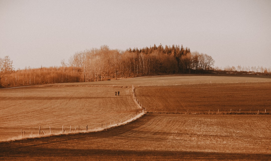 Land Registry