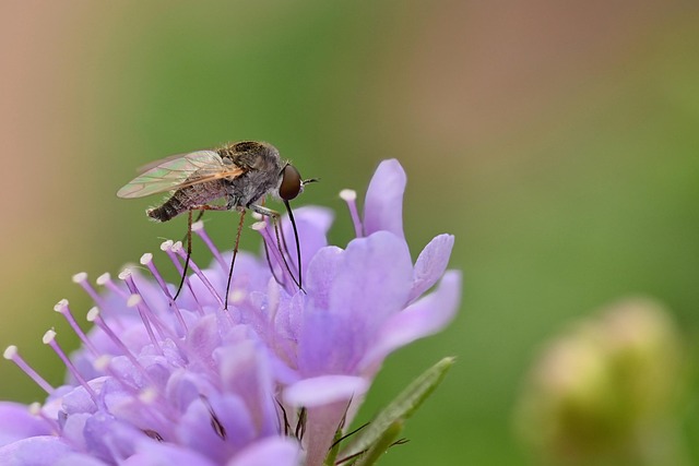 MG새마을금고 상상모바일 대출 4