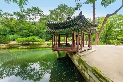 창덕궁후원
