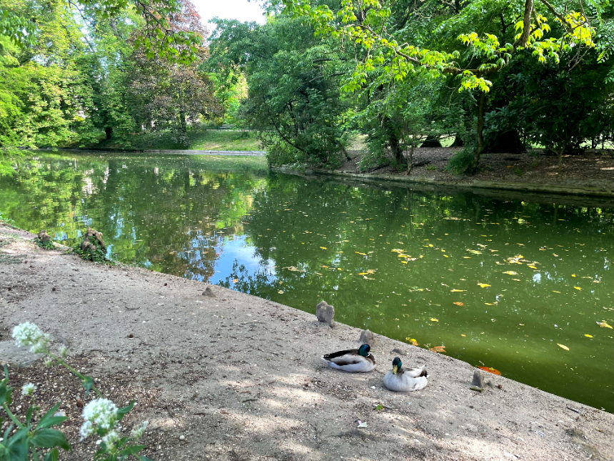 보르도 식물원(Jardin Public)