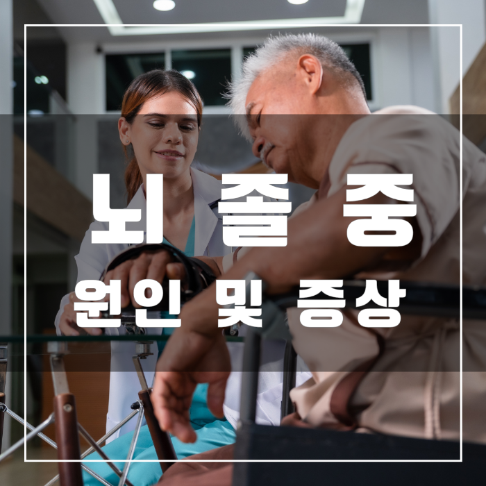 뇌졸중 원인 및 증상