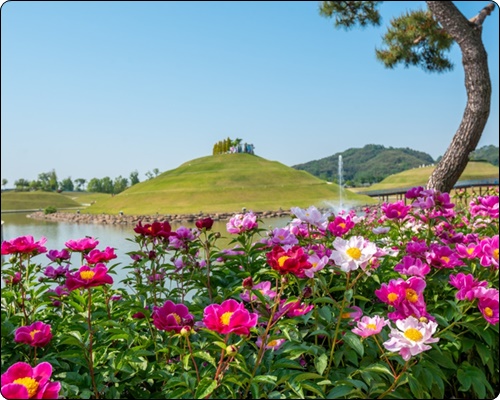 순천 정원박람회 입장료