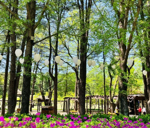 강원도 가볼만한곳 베스트10