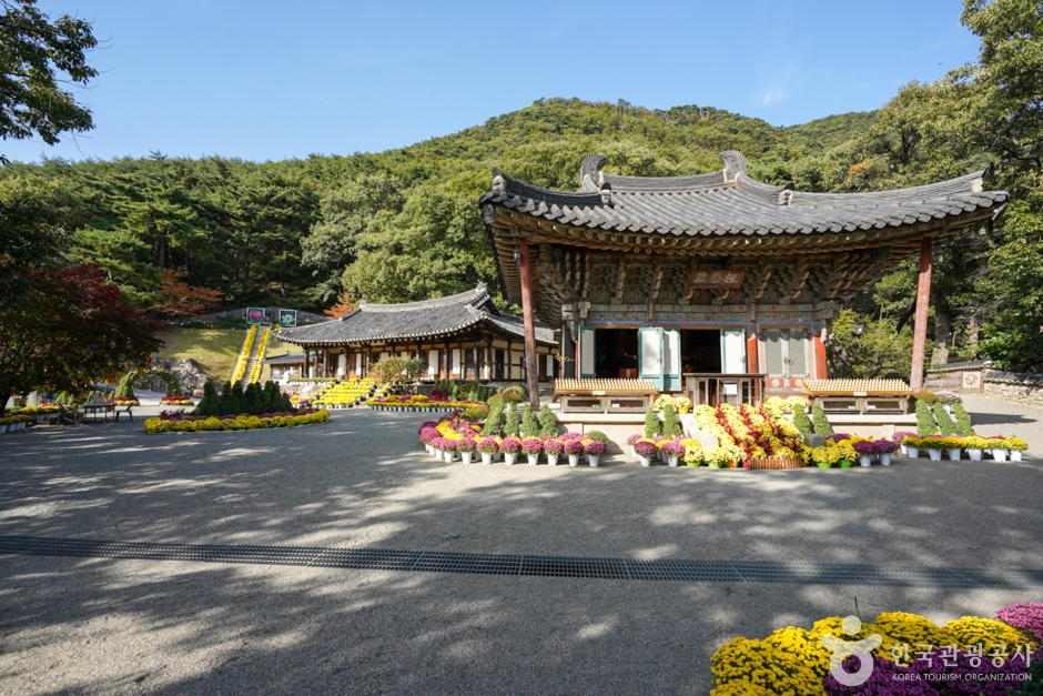 구미 가볼만한곳 베스트10