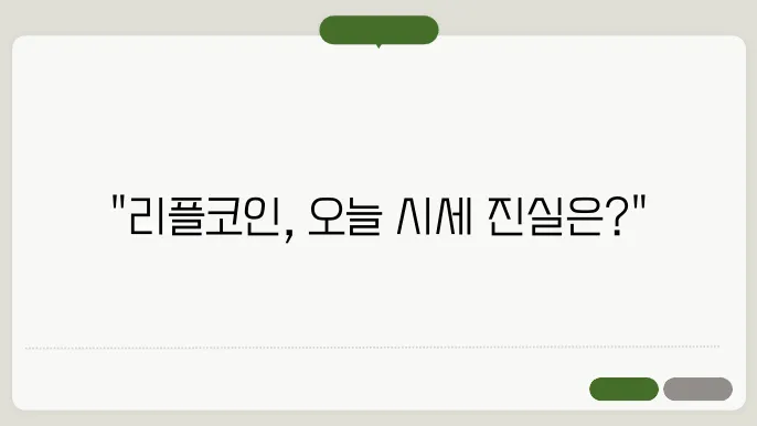 리플코인 투자 전략
