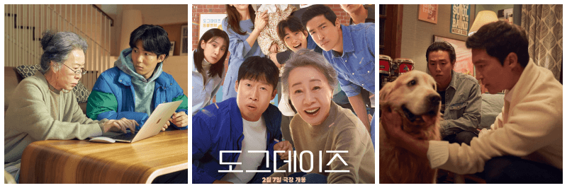 도그데이즈 포토, 포스터