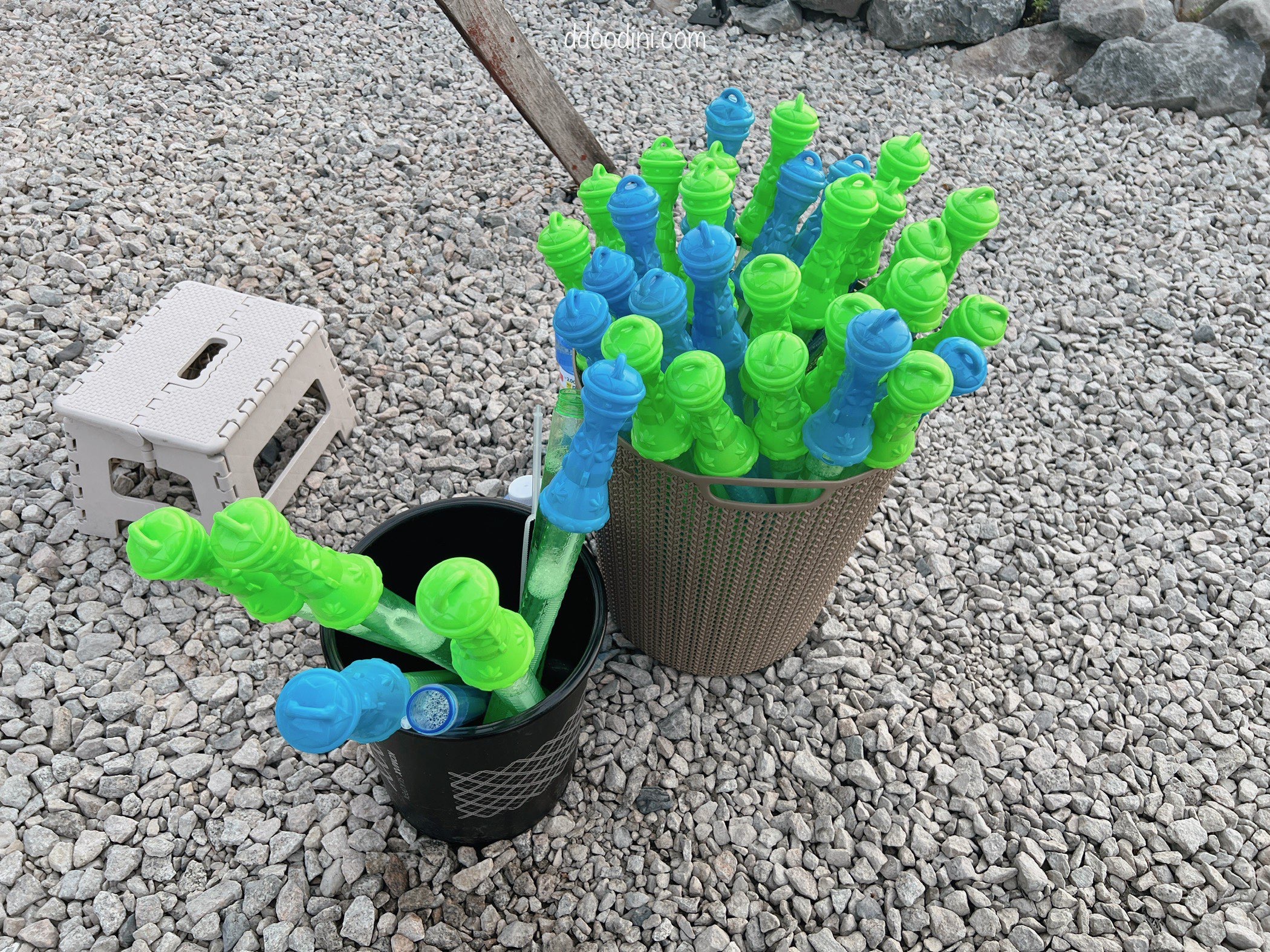 백수해안도로 보리