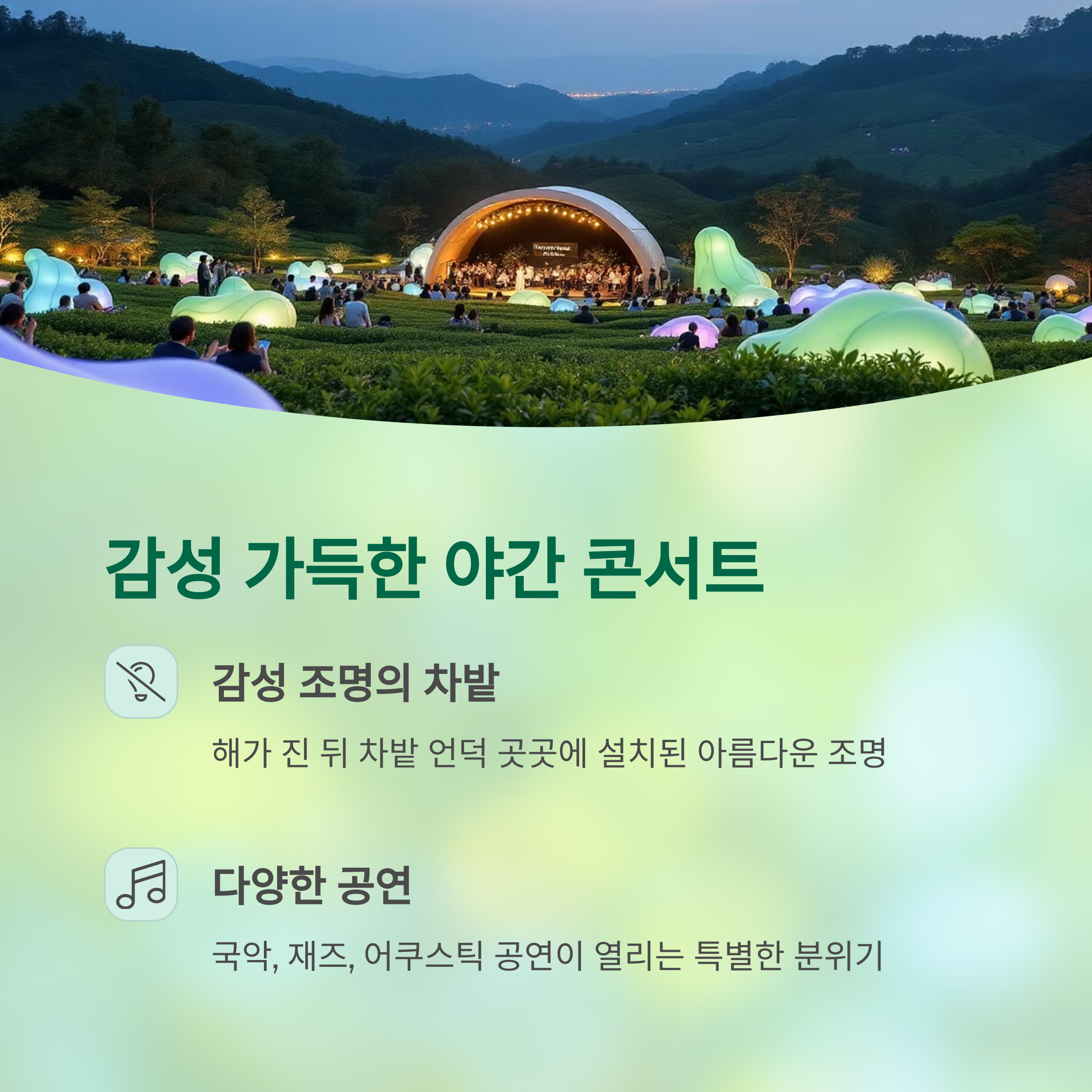 녹차향 가득한 힐링 여행, 보성다향대축제 완벽 가이드