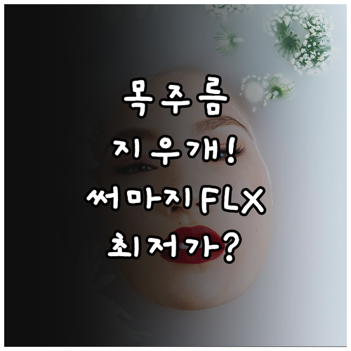 목주름 써마지 FLX 가격 정보와 시..