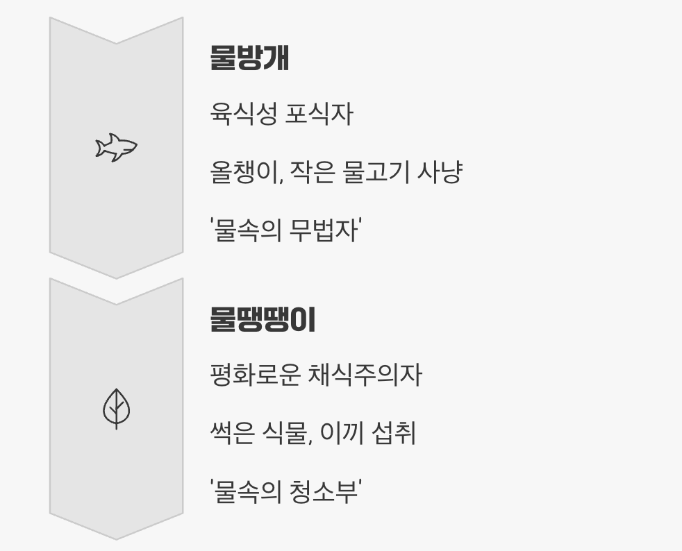 물속의 무법자 vs 평화로운 채식주의자