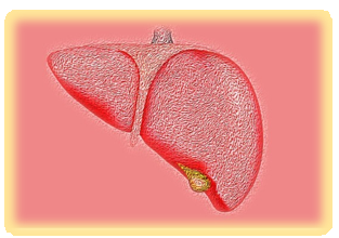 지방간에 좋은 음식