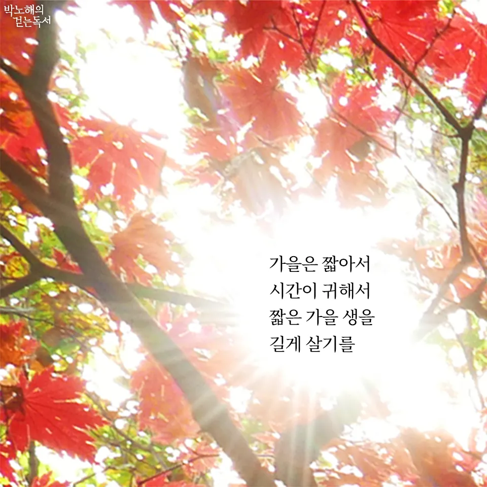 가을 시 모음 5편 추천 선별_5